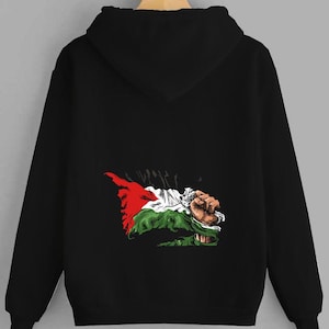 Fist and Flag Hoodie or Tee Shirt, Power & Resistance Shirt, Unisex Activist Apparel, Protest Graphic Top, Stand Strong Streetwear Hoodie