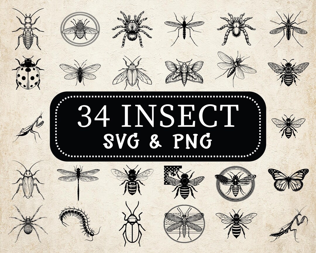 Insect Svg Png Bundle, Bug Silhouette Clipart, Garden Insect Vector ...