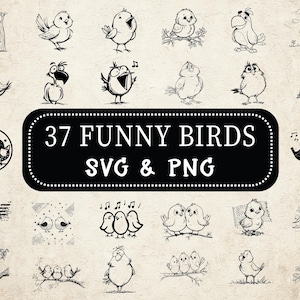 Funny Birds SVG PNG Bundle, Quirky Bird Clipart, Cricut, Silly Cartoon Bird SVG, Cute Bird Silhouette Cut Files, Kids Svg, Funny Animal Art