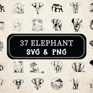May include: A selection of 37 elephant-themed SVG and PNG graphics. The images showcase diverse black and white illustrations of elephants in various poses and styles, including silhouettes and detailed drawings. The text "37 ELEPHANT SVG & PNG" is on a black rounded rectangle.
