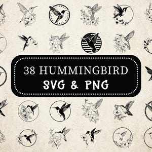 Hummingbird SVG PNG Bundle: Floral Bird Clipart (Digital Download