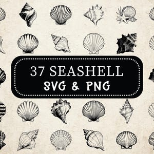 Seashell SVG PNG Bundle: Beach Clipart, Nautical Cut Files (Digital Download)