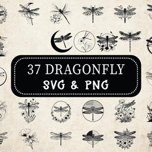 Dragonfly SVG PNG Bundle, Dragonfly Silhouette Clipart, Insect Cut Files, Dragonfly Cricut, Dragonfly Vector, Digital Design Decal, Crafts