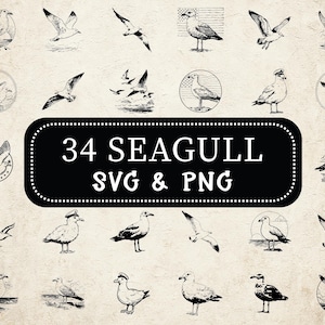 Mouette SVG PNG Bundle, Silhouette d&#39;oiseau de mer, Clipart mouette, faune côtière Cricut coupe fichier, conception de vecteur de plage, stickers nautiques Png