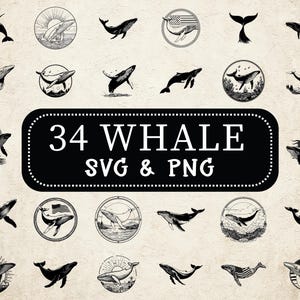 Paquete SVG PNG de ballena: Clipart de silueta de animal marino (descarga digital)