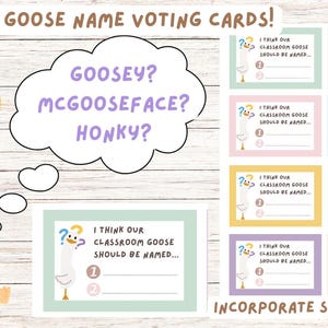 Classroom Goose Name Voting Cards | Printable Activity for Naming Class Goose