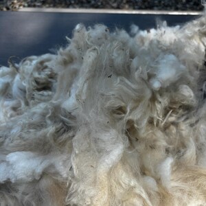 Wool Unprocessed Alpaca Fleece Fiber Raw First & Second Cutting - Etsy