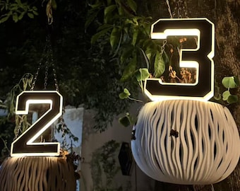 Solar Powered LED House Numbers: Illuminated Address Plaque, 9 inch,No Wiring