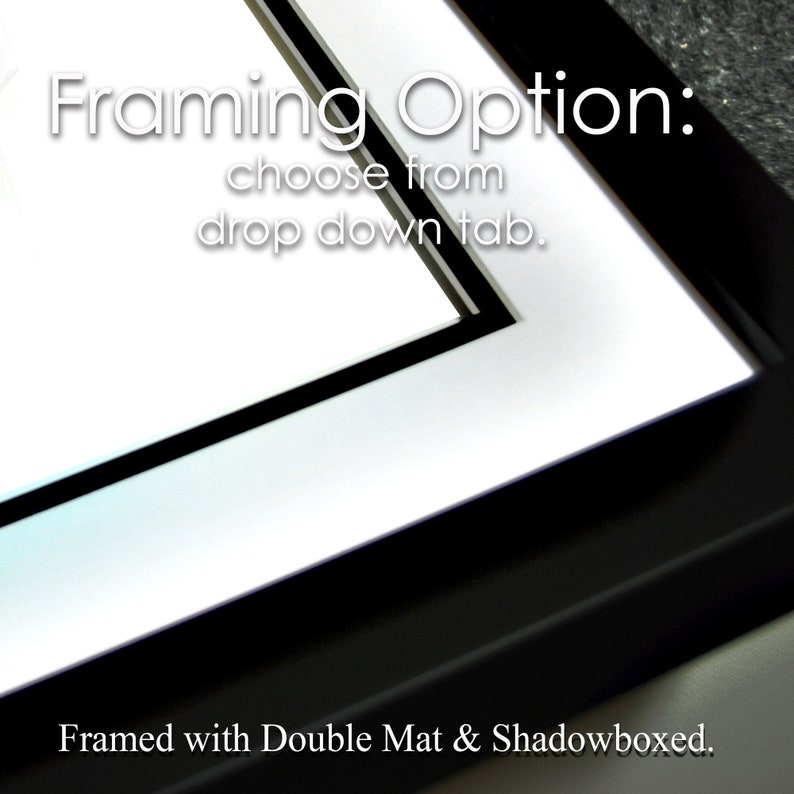 May include: A close-up of a framed artwork with a double mat and shadowbox. The text "Framing Option: choose from drop down tab. Framed with Double Mat & Shadowboxed." is visible in the image.