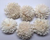 Sola Zinnia Flowers---  Set of 6 Sola Zinnia Flowers-- Wedding balsa flowers