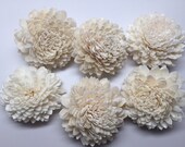 Sola Zinnia Flowers---  Set of 6 Sola Zinnia Flowers-- Wedding balsa flowers