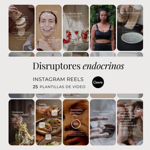 Disruptores Endocrinos Instagram Reels en Español, Salud Hormonal vídeo Personalizable para Redes Sociales, Plantillas Canva Hechas Para Ti