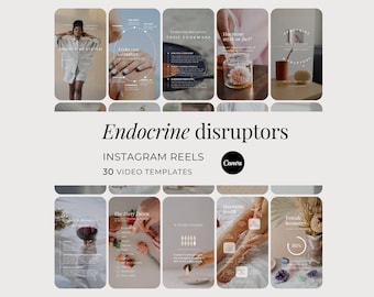 Endocrine Disruptors Instagram Reels, Hormone Beauty Coach Social Media Templates, Female Wellness Hormonal Health Therapist Canva Videos