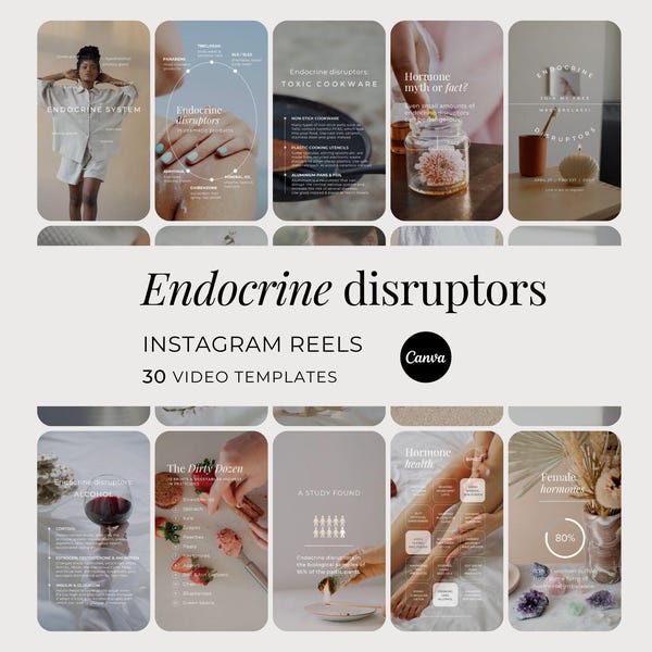 Endocrine Disruptors Instagram Reels, Hormone Beauty Coach Social Media Templates, Female Wellness Hormonal Health Therapist Canva Videos