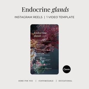 Endocrine Glands Instagram Reel, Hormonal Balance Wellness Done For You Social Media Video, Female Health Customizable Canva Template