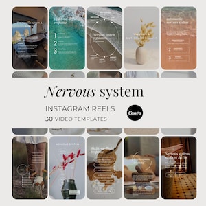Può includere: Una raccolta di modelli di Instagram Reels con una palette di colori neutri. Il testo include "Nervous System", "Instagram Reels" e "30 modelli video". I modelli presentano varie immagini e sovrapposizioni di testo, con un logo Canva.