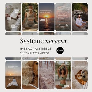 Système Nerveux en Français Instagram Reels, Nerf Vague Vidéos Réseaux Sociaux, Régulation Du Stress Modèles Canva Fait Pour Toi