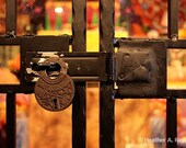 All Locked Up, black, orange, square, lock, colorful, lines, bars, gold, red, photograph