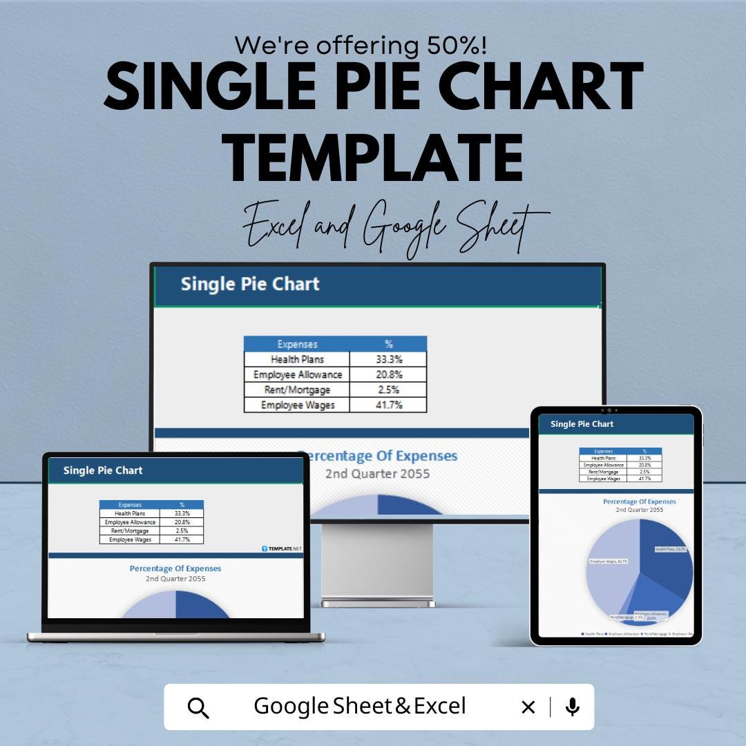 Single Pie Chart Template | Excel & Google Sheets Chart | Data ...