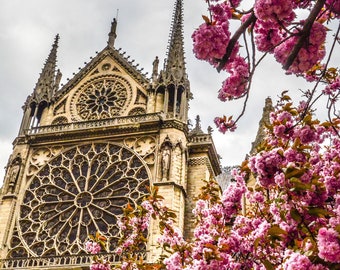 Notre Dame Cathedral// 5x7 Travel Photography // Parisian Print