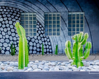 Galets et pops verts// Photographie de voyage 5 x 7// Impression de cactus