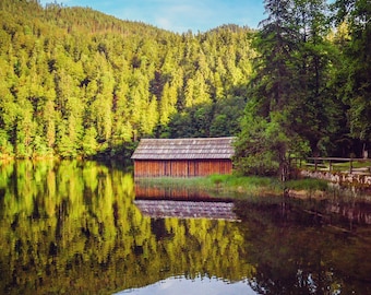 Cabane dans les bois // Photographie de nature 8 x 10 // Impression de camping