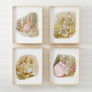 May include: Set of four framed prints featuring illustrations of Peter Rabbit in various scenes. The prints are in a white frame with a light wood finish. The illustrations are in a vintage style and feature Peter Rabbit wearing a pink jacket.