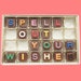 Owner of <a href='https://www.etsy.com/shop/WhatCandySays?ref=l2-about-shopname&from_page=listing' class='wt-text-link'>WhatCandySays</a>