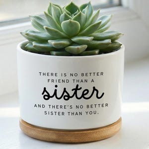 以下が含まれることがあります： 多肉植物が入った白いセラミックポット。ポットには「THERE IS NO BETTER FRIEND THAN A sister AND THERE'S NO BETTER SISTER THAN YOU.」と書かれています。丸い木の台座の上に置かれています。