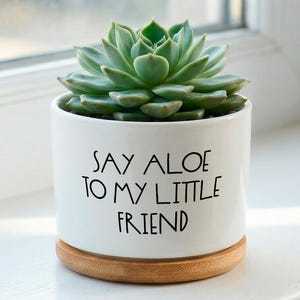 May include: A succulent plant in a white ceramic pot with a wooden base. The pot has the text "SAY ALOE TO MY LITTLE FRIEND" in black. The succulent has green leaves and is placed near a window.