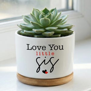 May include: A white ceramic planter with a succulent plant. The planter has the text "Love You little Sis" in black and red lettering, with two small hearts. The planter sits on a round wooden base.