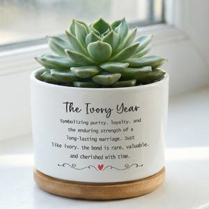 May include: A white ceramic planter with a succulent plant. The planter has the text "The Ivory Year" and a description of marriage. The planter sits on a wooden base. The succulent is green.