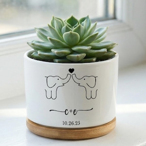 Op de afbeelding: Witte keramische plantenpot met een vetplant. De pot heeft een zwarte illustratie van twee olifanten die elkaars slurf aanraken, een hart en de initialen "c+e" met de datum "10.26.25". Hij staat op een houten voet.
