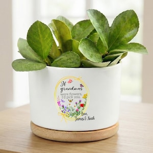 May include: A white ceramic plant pot with a wooden base, containing green leafy plants. The pot features a floral design and the text "If grandmas were flowers, I'd pick you." Love, James & Noah.