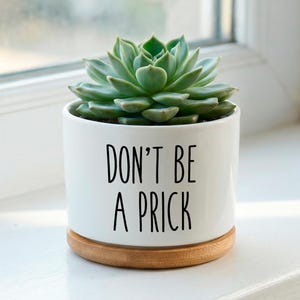 Puede incluir: Una pequeña planta suculenta en una maceta de cerámica blanca con el texto "DON'T BE A PRICK" en negro. La maceta se asienta sobre una base redonda de madera natural. La suculenta tiene hojas verdes.