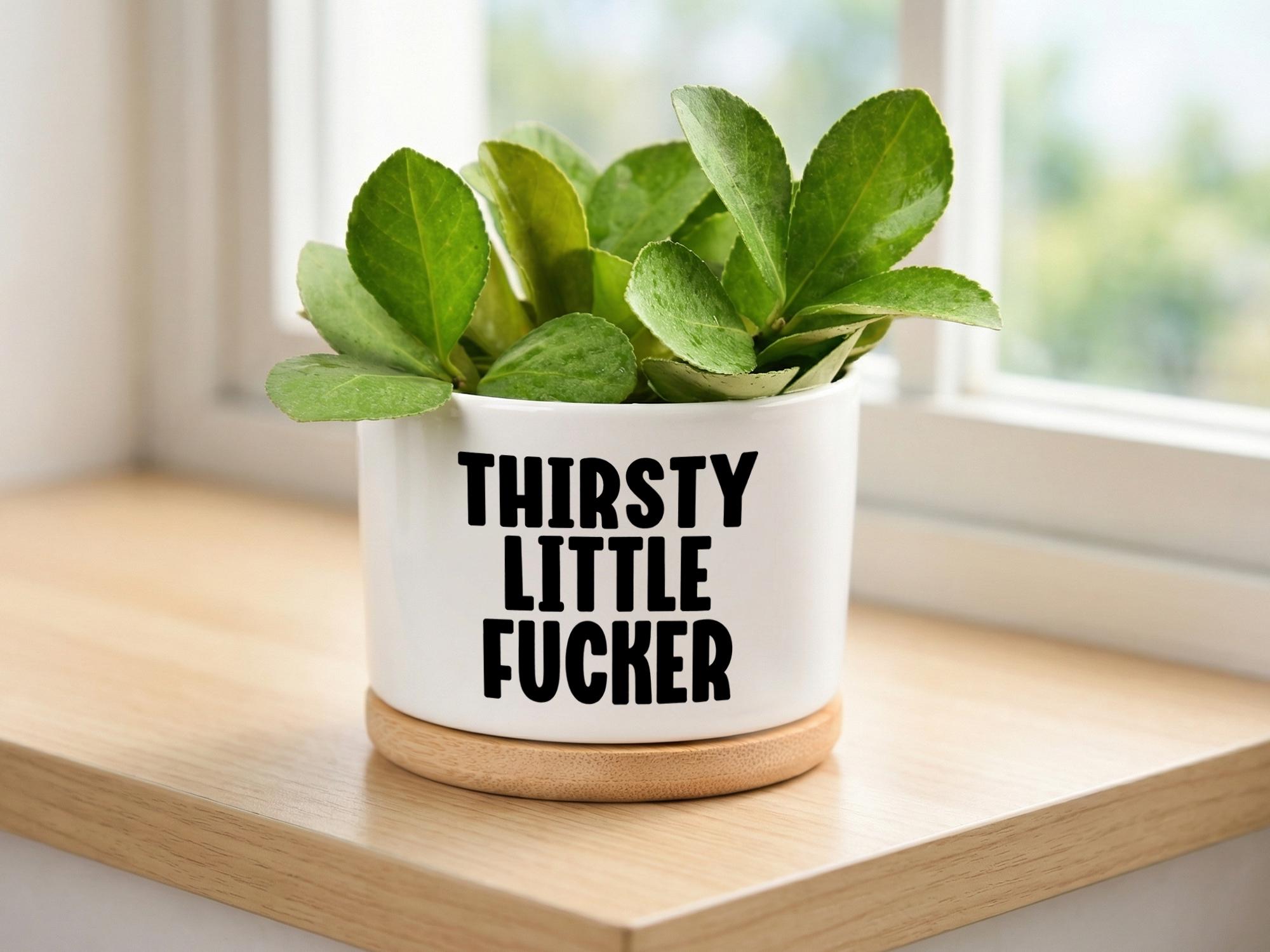 Jardinières amusantes, cadeau humour pour adulte, jardinière succulente, jardinières et pots, idée cadeau pour elle, cadeau pour jardinier, décoration