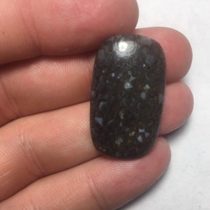 Dinosaur Bone Cabochon 32cts