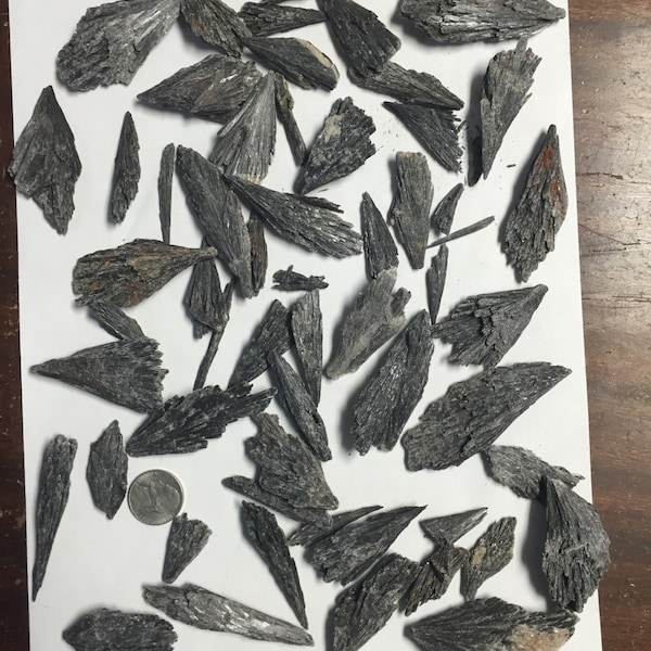 Wholesale 1lb+ Black Kyanite Crystal Blades