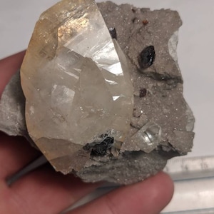 Calcite Cluster w Sphalerite from Elmwood Tennessee