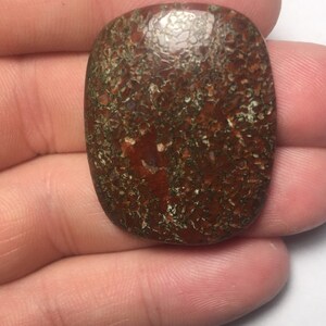 Dinosaur Bone Cabochon 60cts
