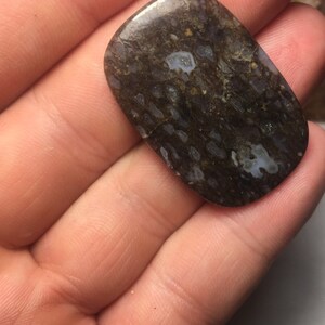 Dinosaur Bone Cabochon 41cts