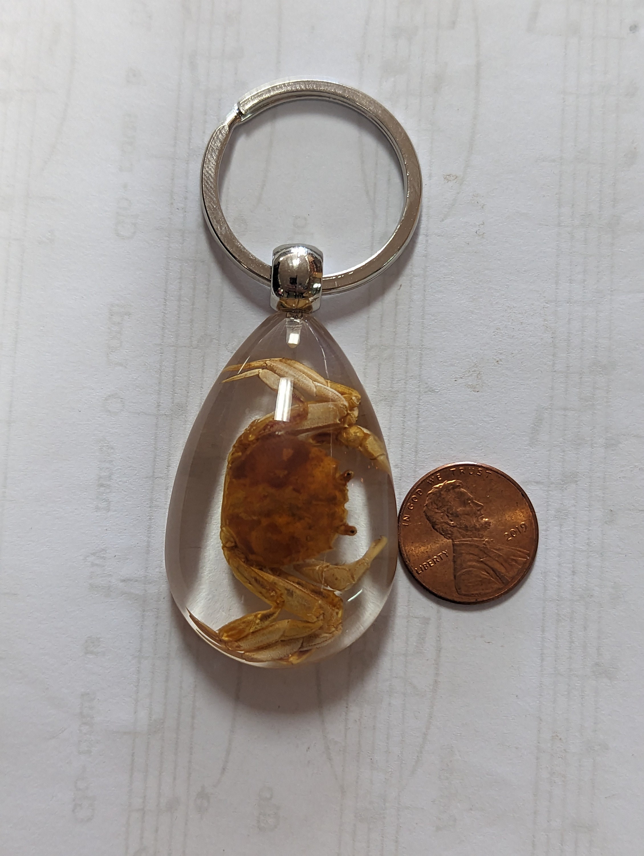 ENSIANTH Funny Crab Keychain You Are Crabulous Keychain Crab