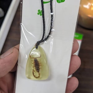 Real Scorpion Necklace