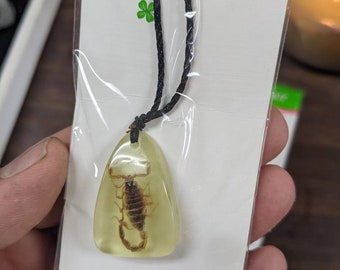 May include: A black cord necklace with a clear pendant containing a preserved scorpion.