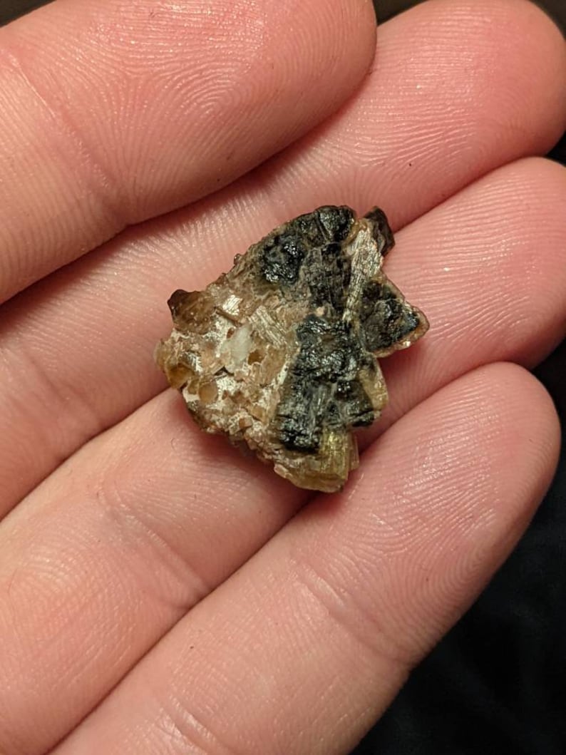 May include: A small, irregularly shaped, brown and black crystal with a rough, textured surface.