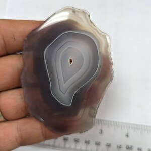 May include: A gray agate slice with a white center and concentric rings. The slice is about 3 inches in diameter.