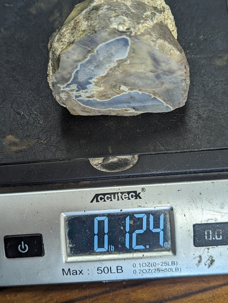 Large ThunderEgg Agate Crystal Geode image 7