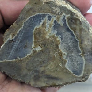 Large ThunderEgg Agate Crystal Geode image 1