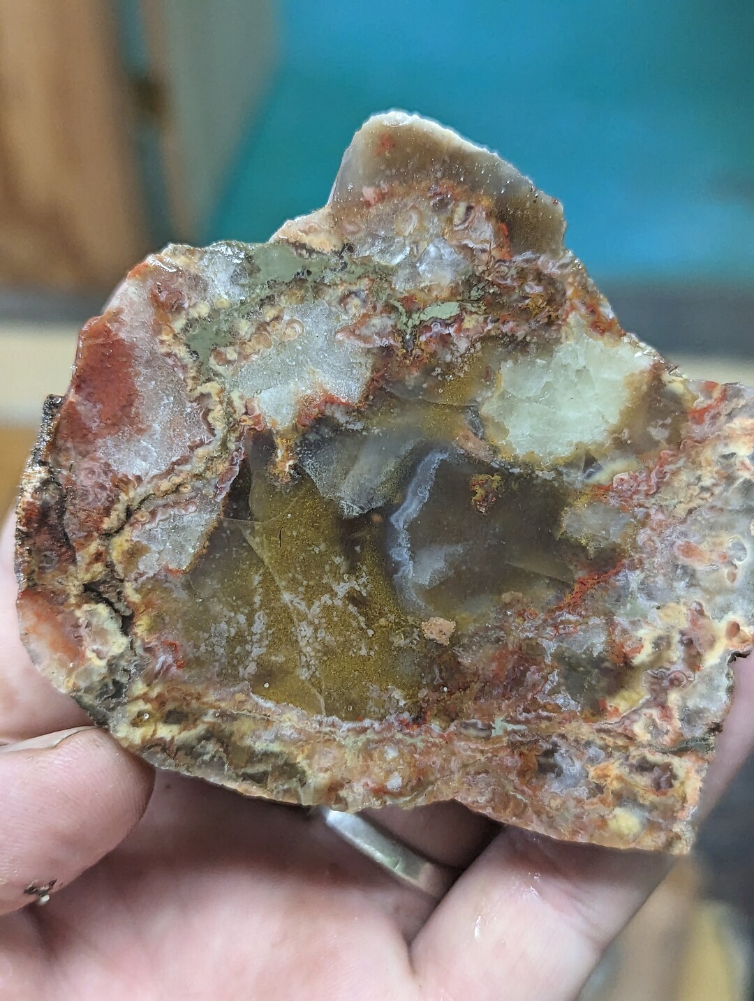 Yellow and Red Paint Rock Agate Slab From Alabama Etsy