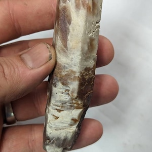 Long Amphibole Quartz Crystal